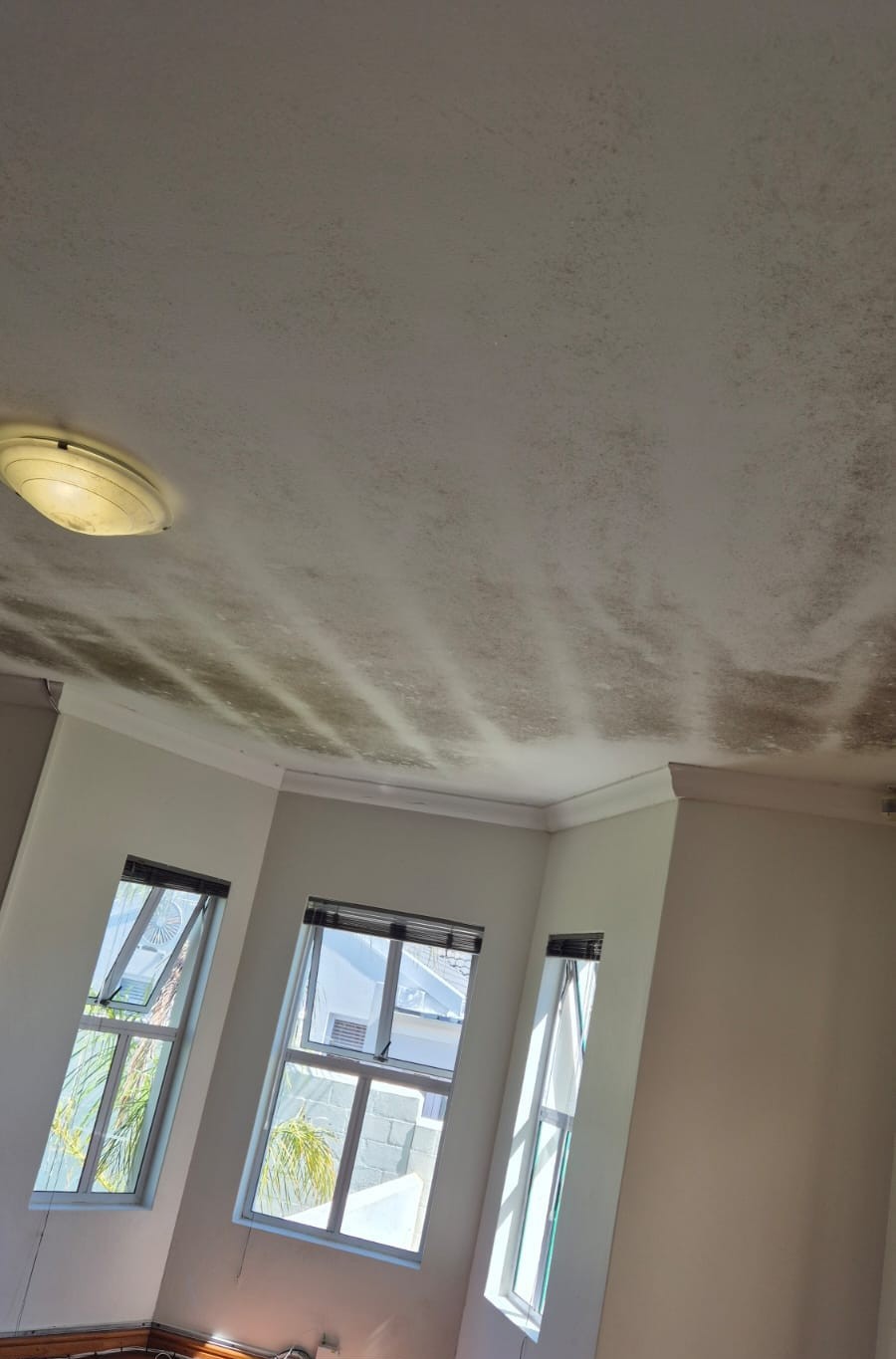 Room before cleaning